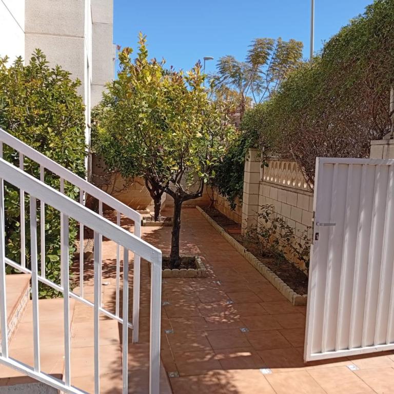 Fantastico bajo con Jardin en Playa de Canet - Apartamento de 3 dormitorios - 16