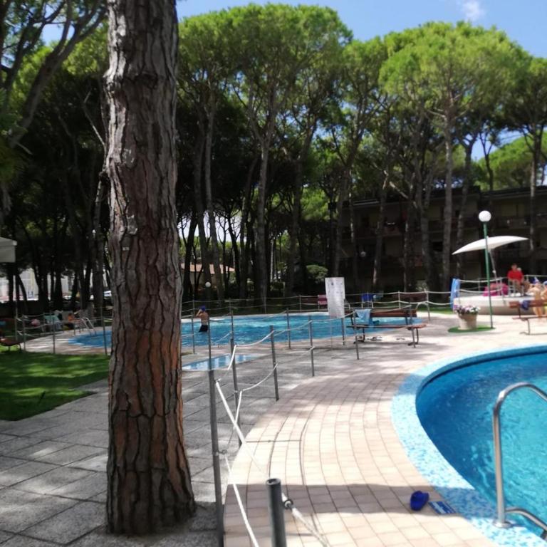 Residence Pineta con Piscina 6 posti letto - Appartamento con 1 Camera da Letto - 7