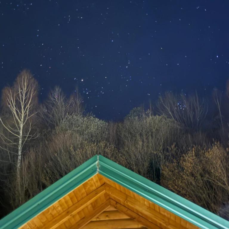 Matesevo guest houses - Kuća sa 1 Spavaćom Sobom - 54