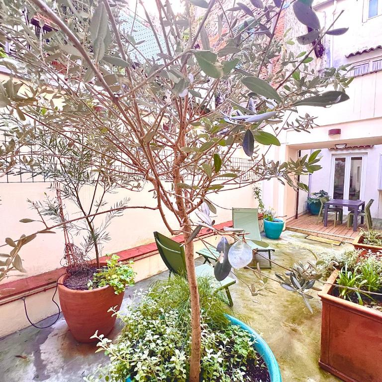 Courtyard 23 - Two-Bedroom Apartment - 2