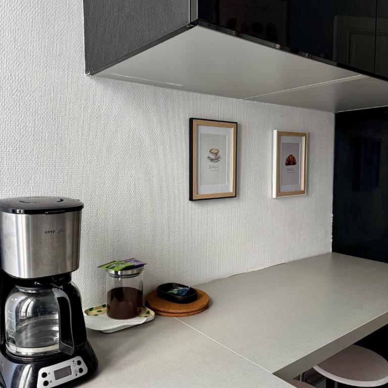 Charmant appartement en hyper centre - Apartment mit 1 Schlafzimmer - 10