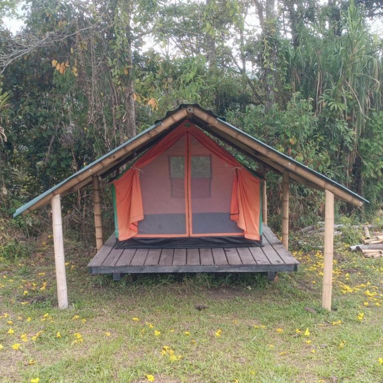 ECOXPLORA-Zona de camping - Tent - 1