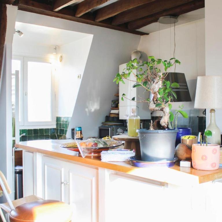 Charming 66 sqm attic flat Paris - Apartamento - 13