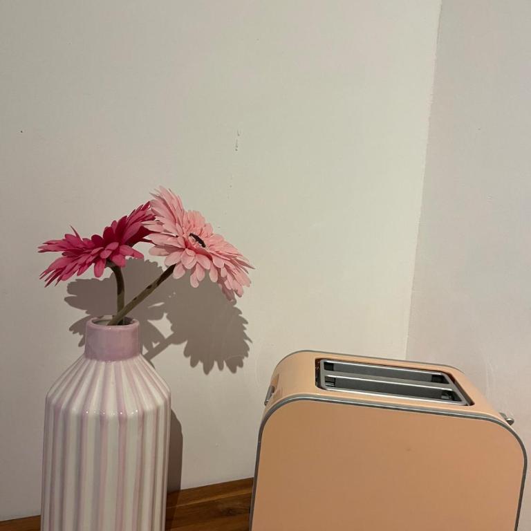 Duplex romantique avec beau jardin plage à pieds - Appartamento con 1 Camera da Letto e con Giardino - 2