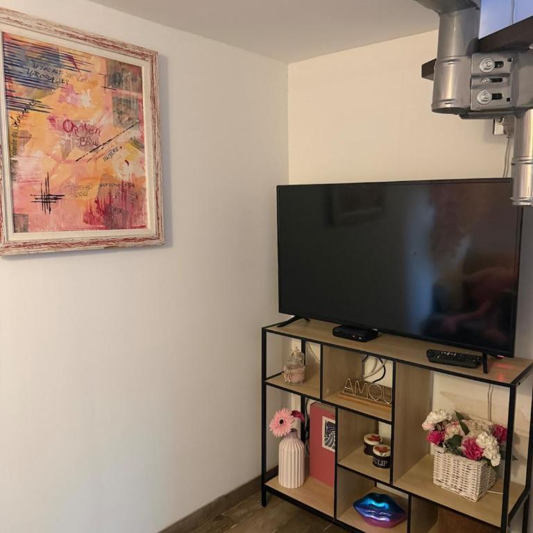 Duplex romantique avec beau jardin plage à pieds - Appartamento con 1 Camera da Letto e con Giardino - 36