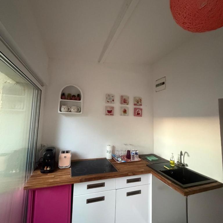 Duplex romantique avec beau jardin plage à pieds - Appartamento con 1 Camera da Letto e con Giardino - 43