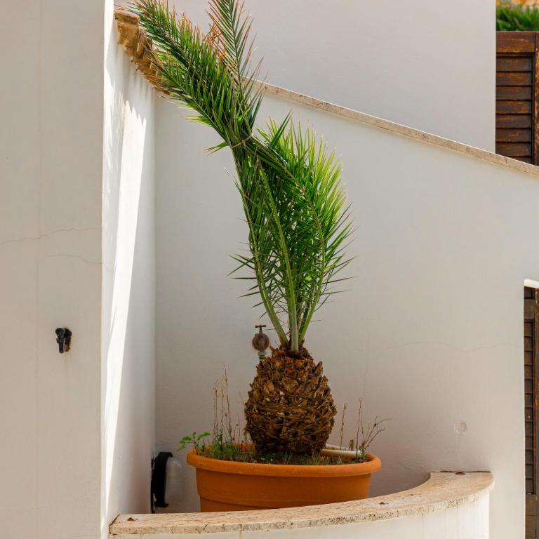 Villa Tocco By Dimora Hub - Apartment mit 2 Schlafzimmern und Meerblick - 34