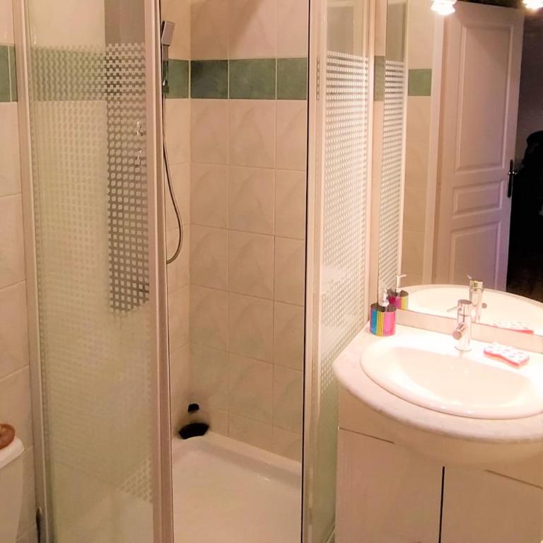 Maison avec jardinet terrasse centre ville Nancy - Appartement 1 Chambre - 7