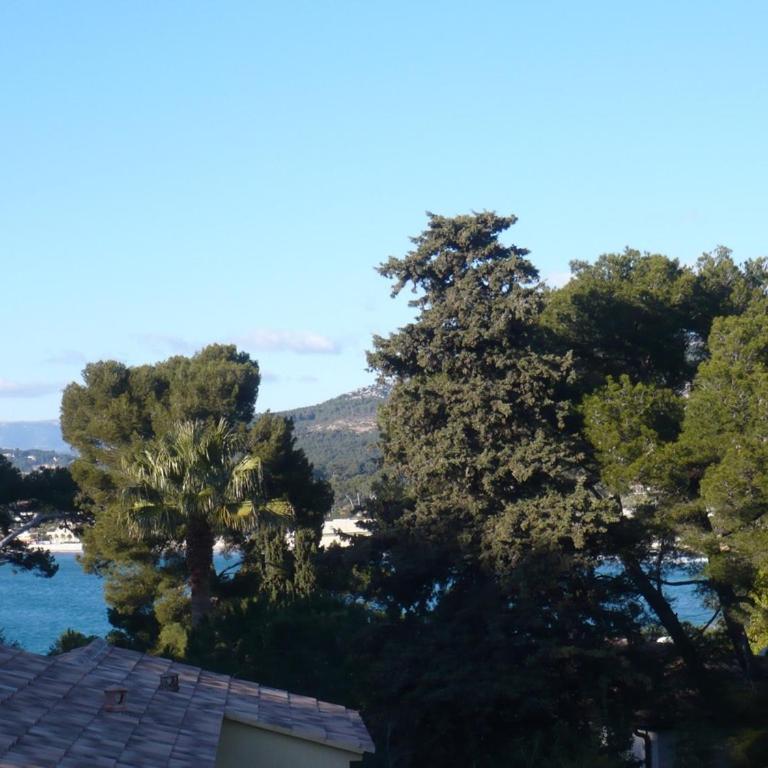 Au calme, belle villa plein sud, piscine privée, mer à 100 m ! - Villa - 22