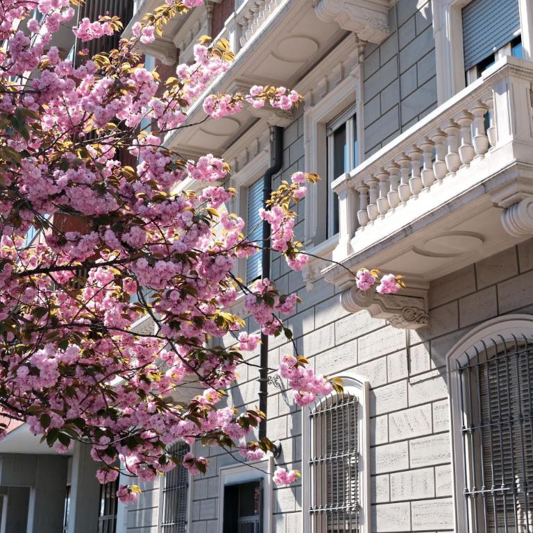 Casa D'Azeglio 116 - Appartamento con 1 Camera da Letto - 3