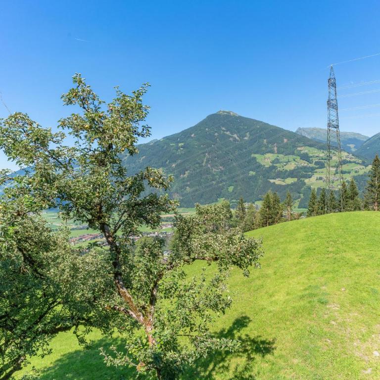 Wieshof - Apartamento con 4 dormitorios - 17