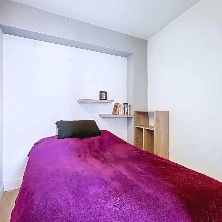 Bel appart proche Bercy & Bois Vincennes - Appartement - 2