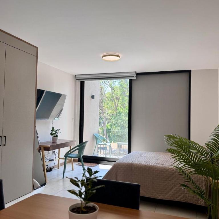 María José Living - Apartamento de 1 dormitorio - 23