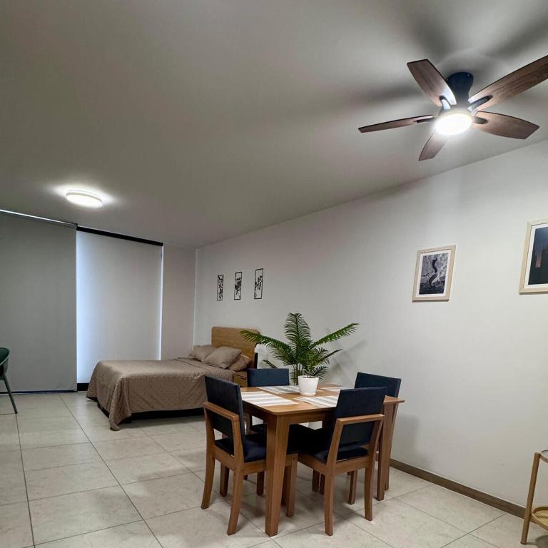 María José Living - Apartamento de 1 dormitorio - 24