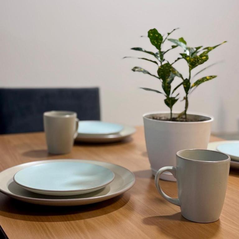 María José Living - Apartamento de 1 dormitorio - 25