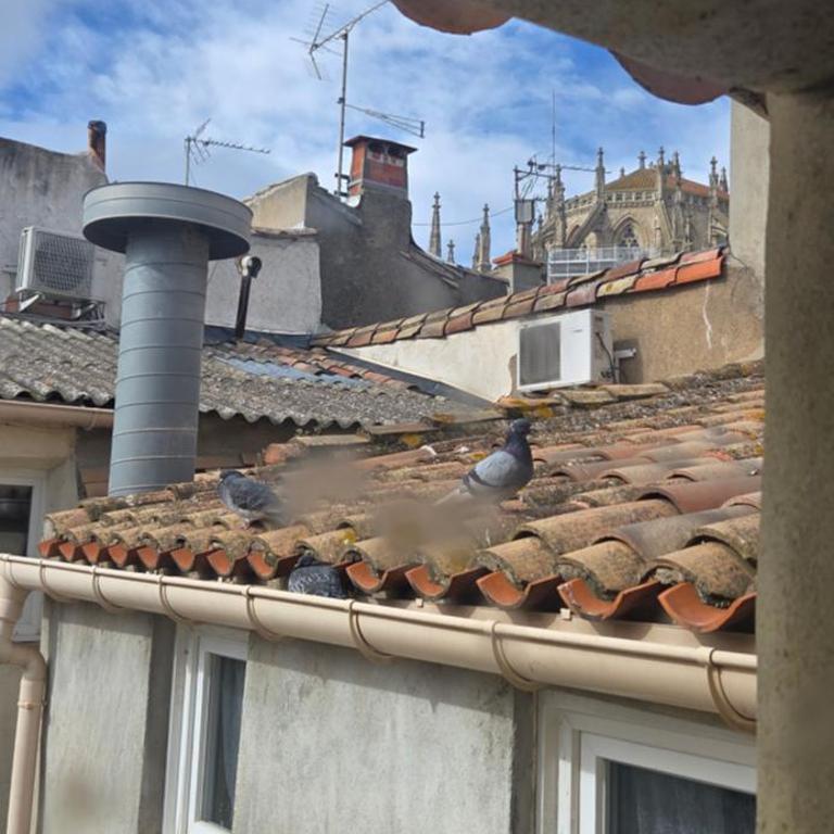 T3 cosy au pied de la cathédrale Narbonne hyper-centre - Appartement 2 Chambres - 38
