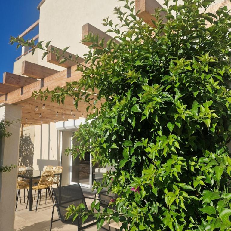 Appartement 4 personnes avec grande terrasse, 1 chambre et 1 coin nuit - Apartamento de 2 dormitorios - 9
