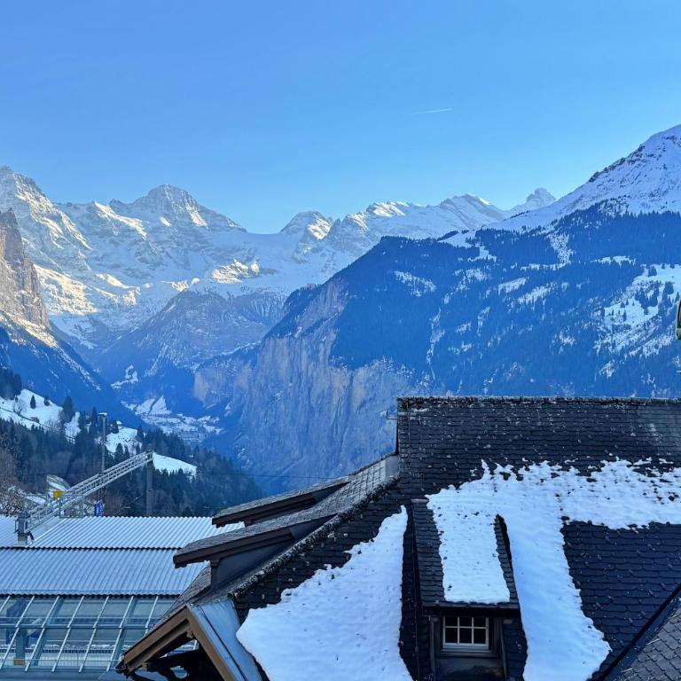 Eiger Residence 2 - Apartment mit 3 Schlafzimmern und Bergblick - 19