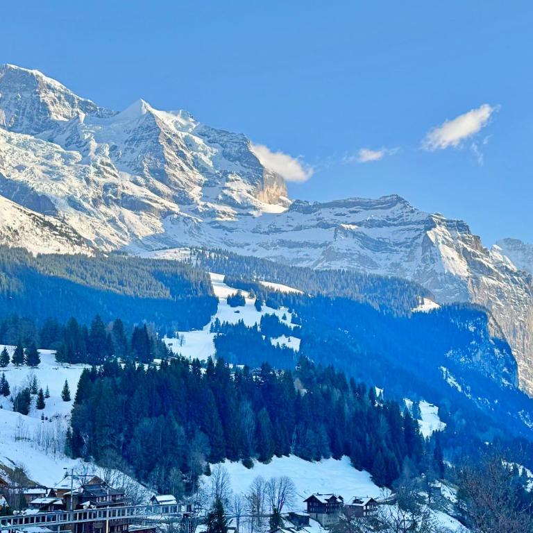 Eiger Residence 2 - Apartment mit 3 Schlafzimmern und Bergblick - 20