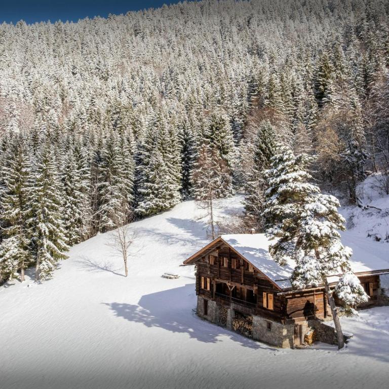 Chalet Le Bouchat - OVO Network - Chalet - 1