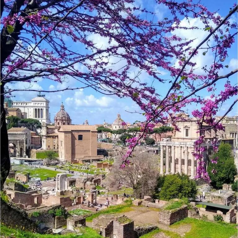 Ara Vatican Apartment - Appartamento con 2 Camere da Letto - 14
