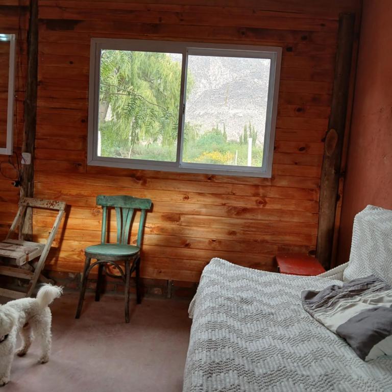 Cabañas Florcita de Cardón - Two-Bedroom Chalet - 12