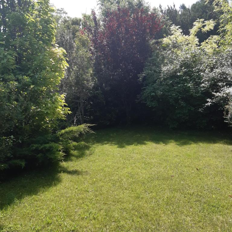 Écrin de verdure - Villa - 9