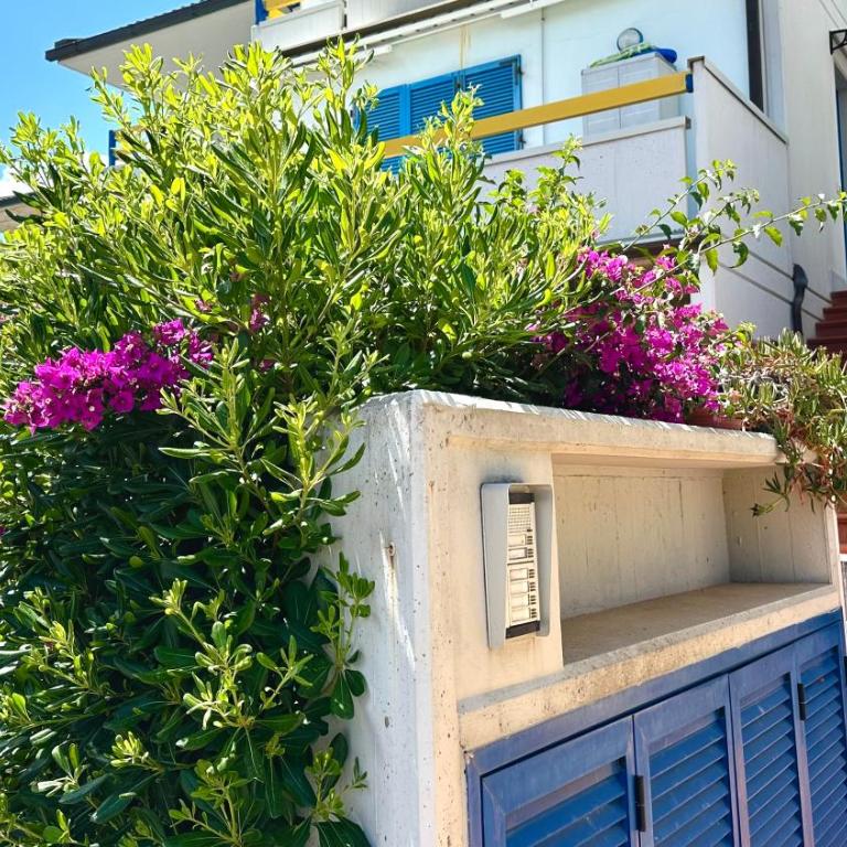 M341 - Marcelli, Trilocale con giardino a due passi dal mare - Two-Bedroom Apartment - 14