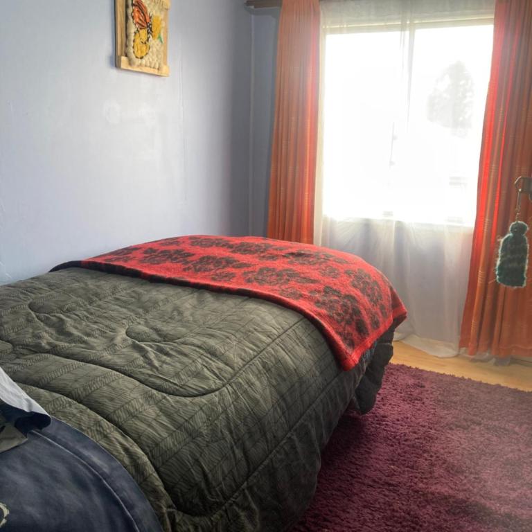 Art Gallery hostal Castro Chiloè - Budget Single Room - 1
