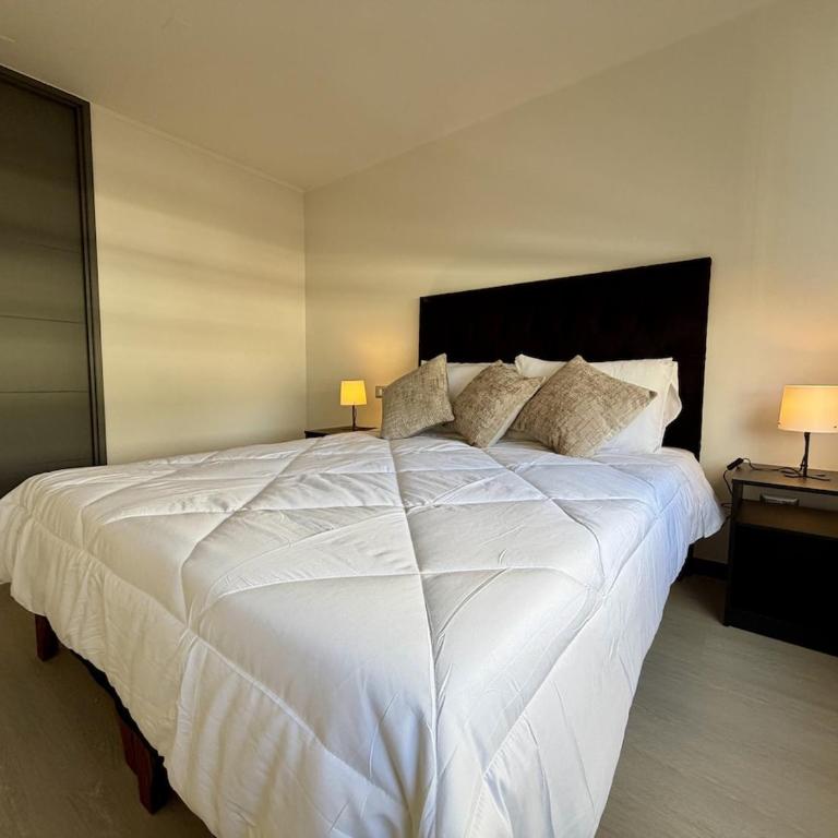 Apartment 316, Downtown Santiago, coworking space, 2 bedrooms, parking - Apartamento de 2 dormitorios - 25
