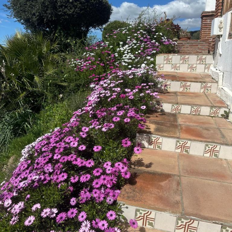 Villa Azafran - Villa de 2 dormitorios - 45