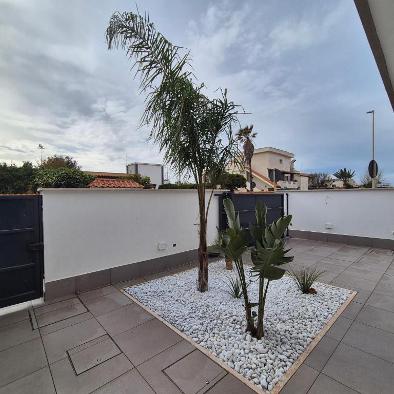 PALM BEACH HOUSE Fiumicino - Appartamento - Piano Terra - 2
