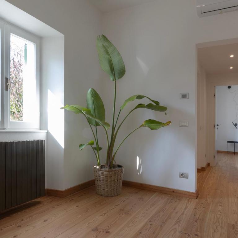 La casa del lupo - Appartamento - 15