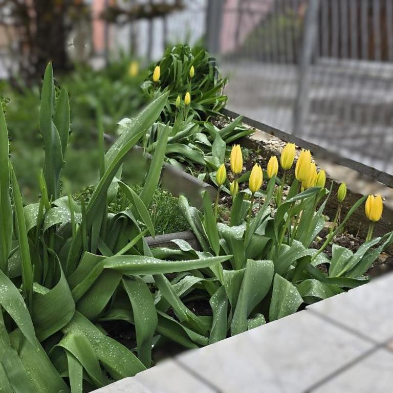 Urban Pool & Relax Apartment - Apartman sa 1 Spavaćom Sobom - 11