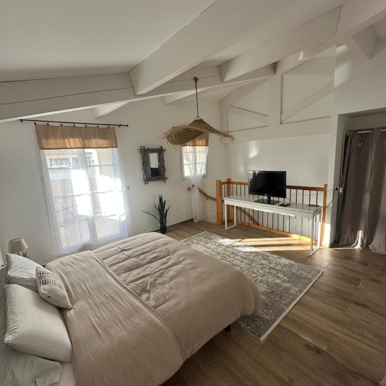 Fleur de Camargue - Villa 3 Chambres - 39