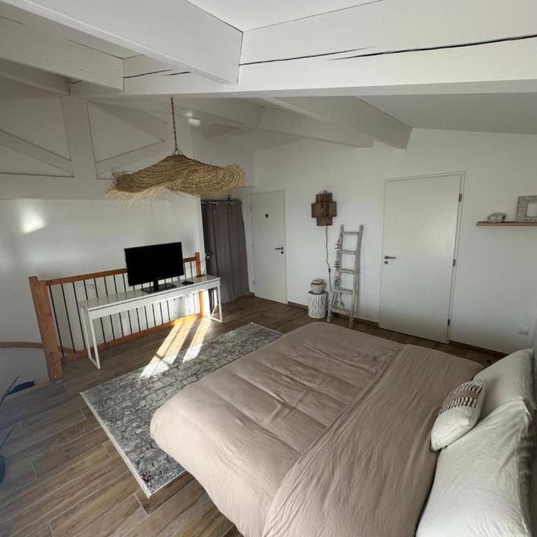 Fleur de Camargue - Villa 3 Chambres - 38