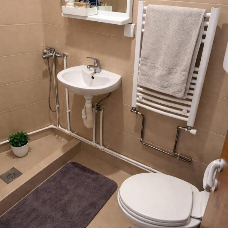 Centar Stay Sokobanja - Apartman sa 1 Spavaćom Sobom - 2