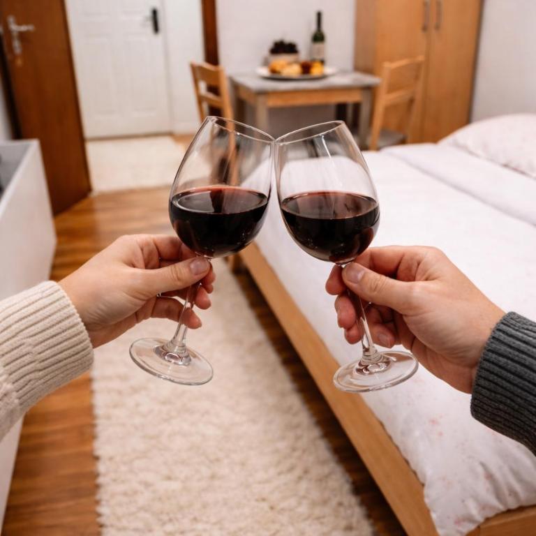 Centar Stay Sokobanja - Apartman sa 1 Spavaćom Sobom - 4