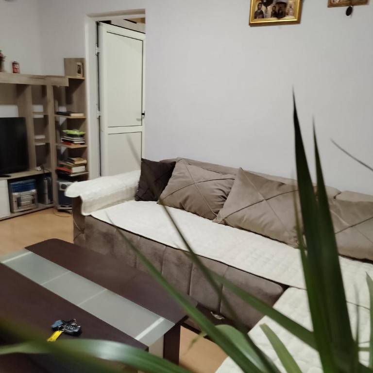 Georgije's apartment - One-Bedroom Apartment - 13