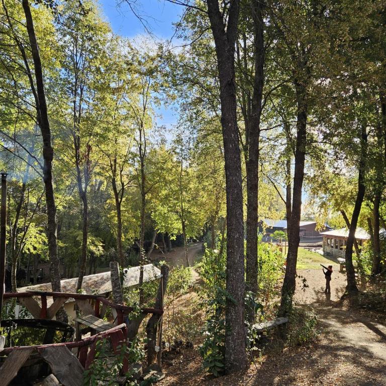 Cabaña en bosque - One-Bedroom House - 9