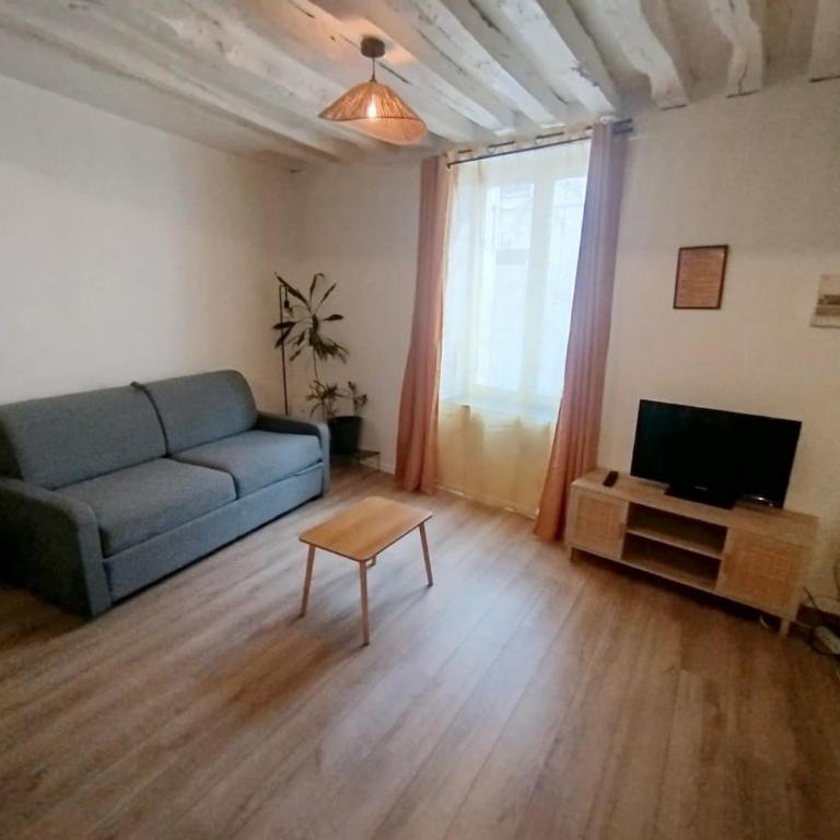 Le Petit Cocon d'Orléans - Appartamento con 1 Camera da Letto - 2