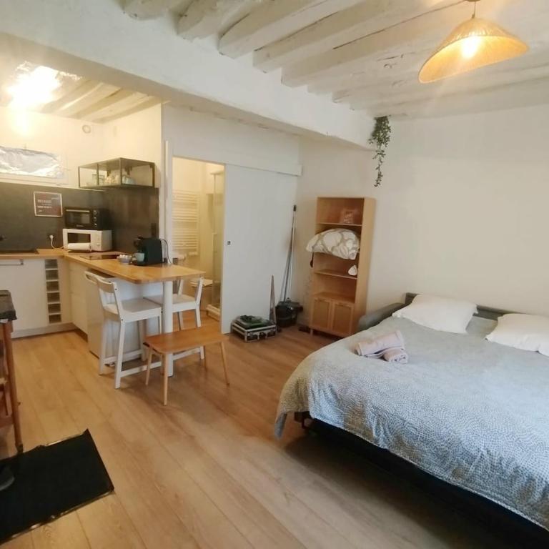Le Petit Cocon d'Orléans - Appartamento con 1 Camera da Letto - 13