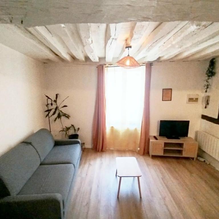 Le Petit Cocon d'Orléans - Appartamento con 1 Camera da Letto - 20