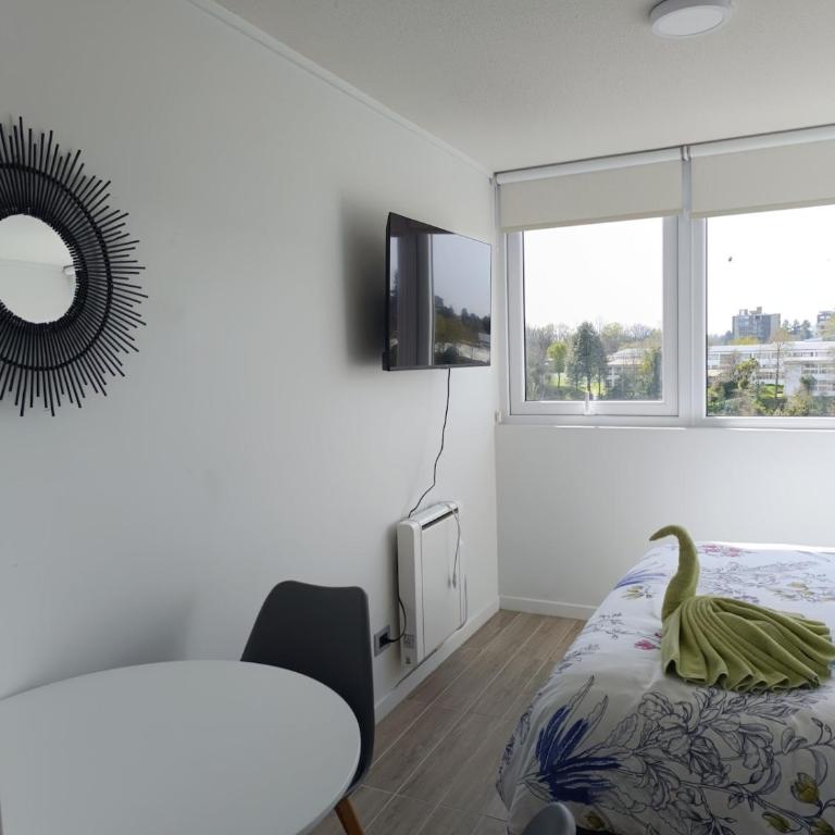 Apartamento tipo estudio Isla Teja - Apartamento de 1 dormitorio - 6