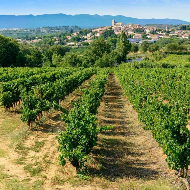 Sartena - Villa - 35