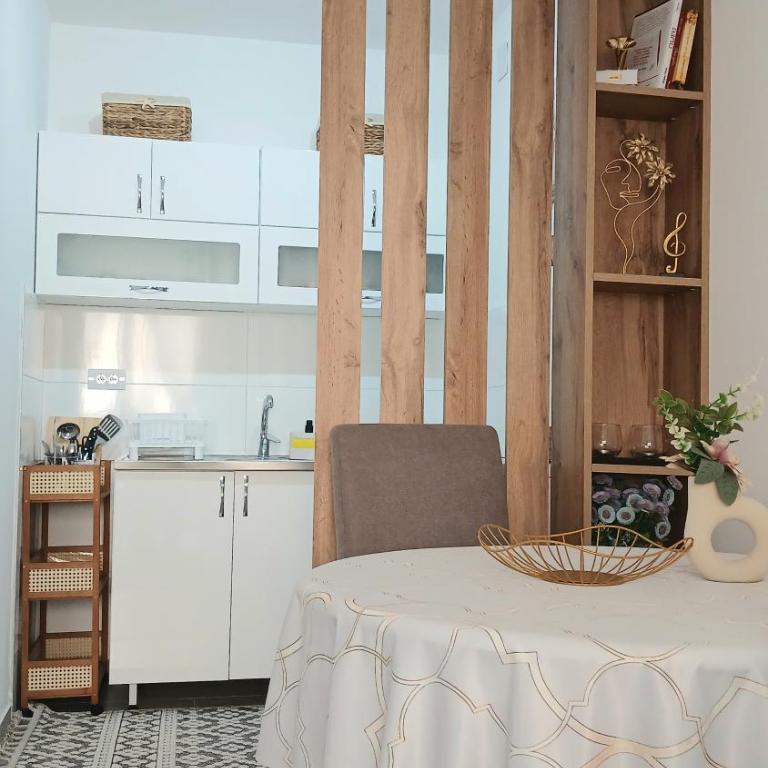 Studio Arija -na par koraka od PARKA - Banja Koviljača - Studio - 10