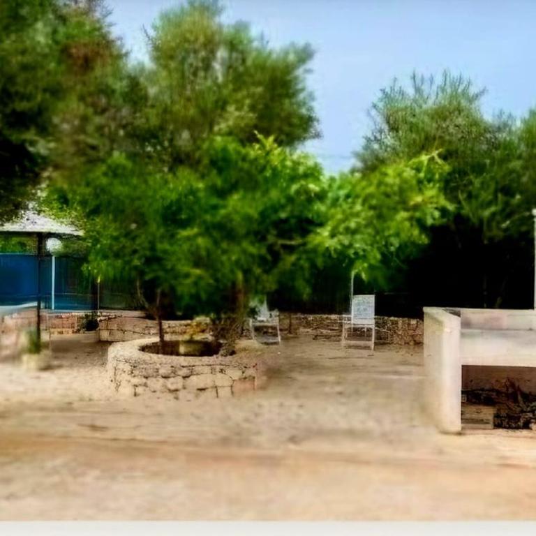 Villa Trullo Septis - Casa Vacanze - 2