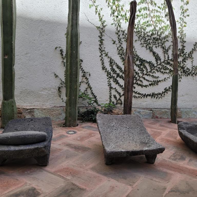 Casa Los Metates - Apartamento de 3 dormitorios - 7