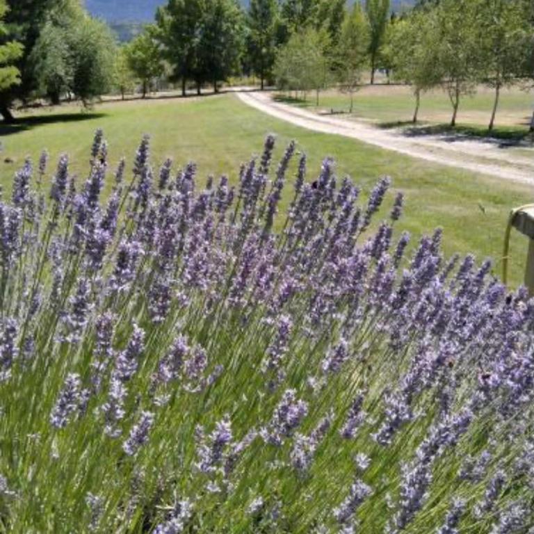Patagonia Villa and Chalet Experience - One-Bedroom Villa - 2