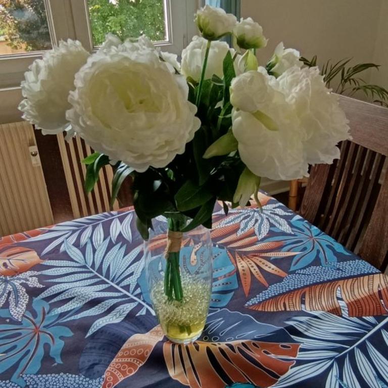 Les Azalées appartement 68 m2 3 étoiles - Apartment mit 1 Schlafzimmer - 18